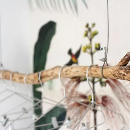 New Bright And Cozy In Graca * Lisbon